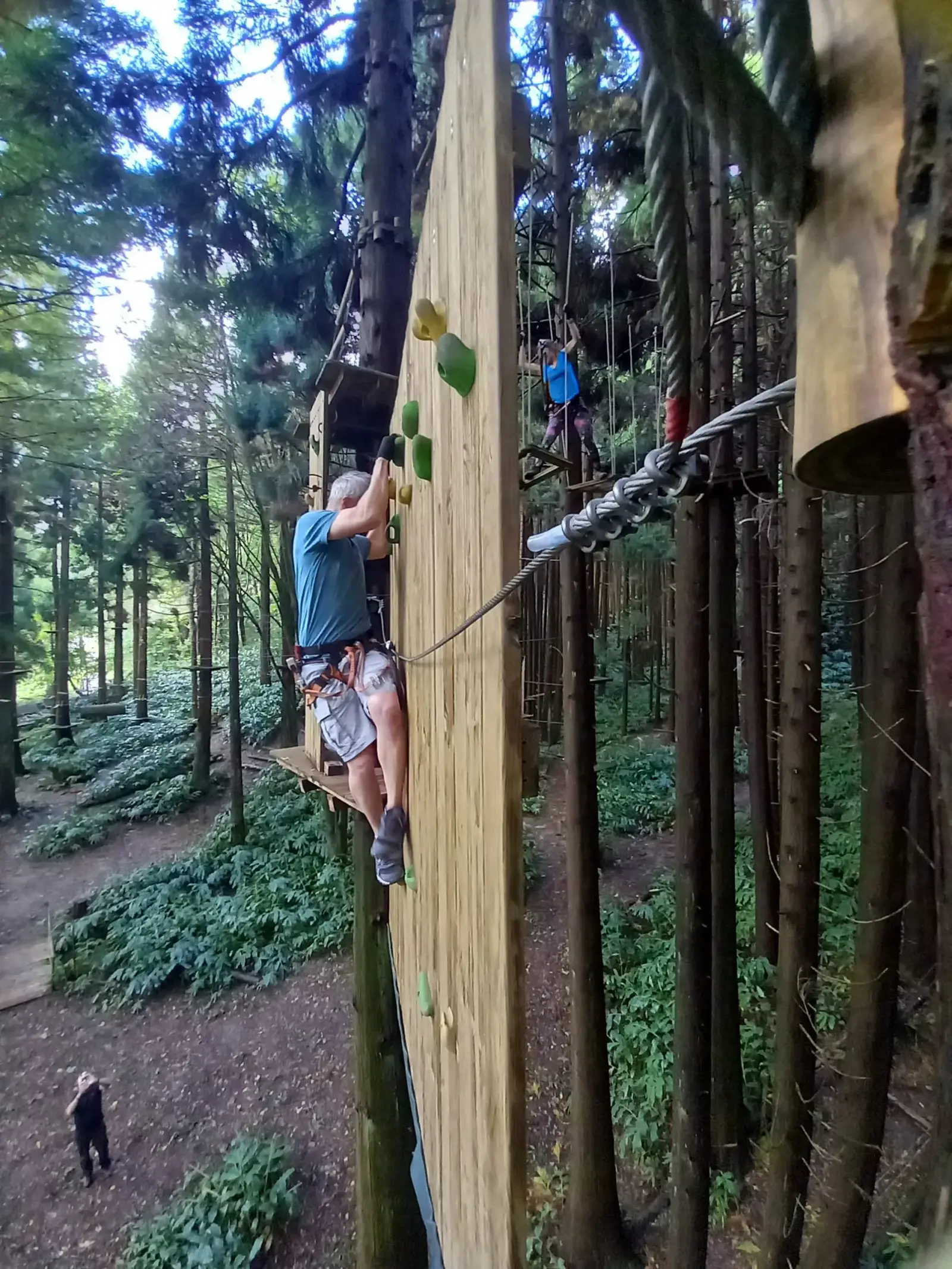 São Miguel nature, Azores