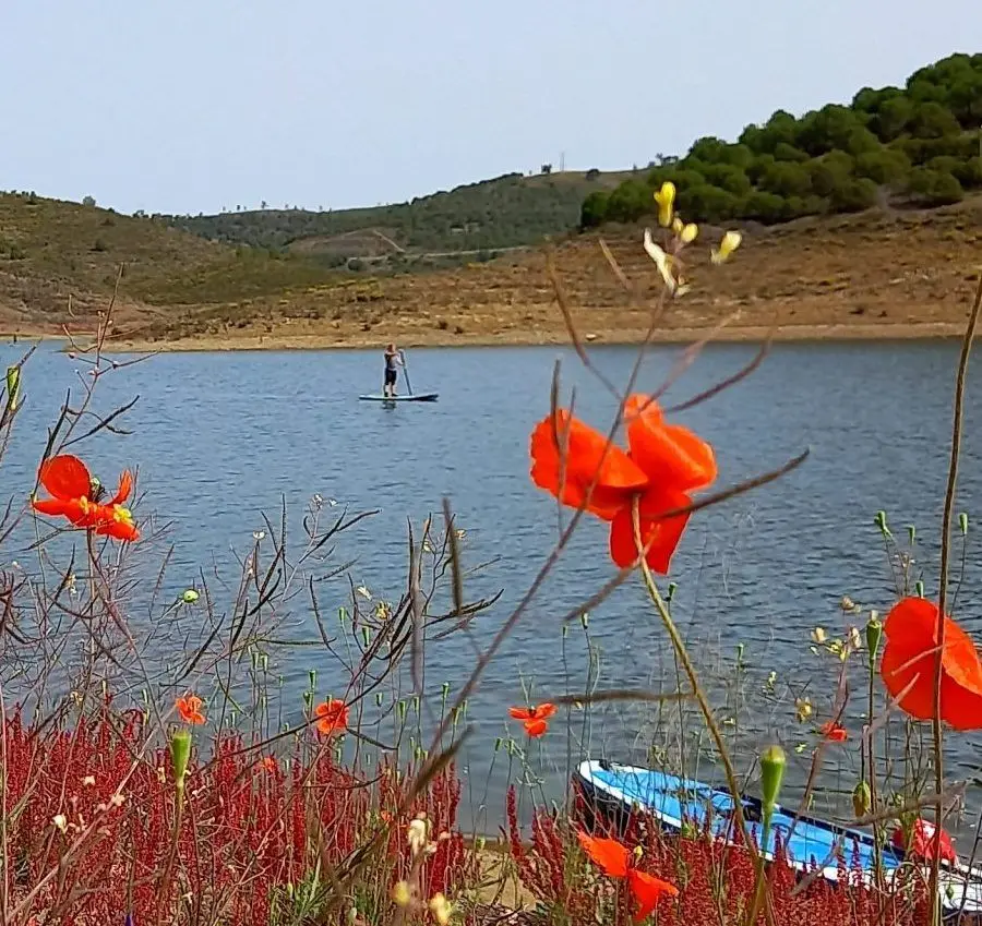 Paddleboard tour on the Dragon River