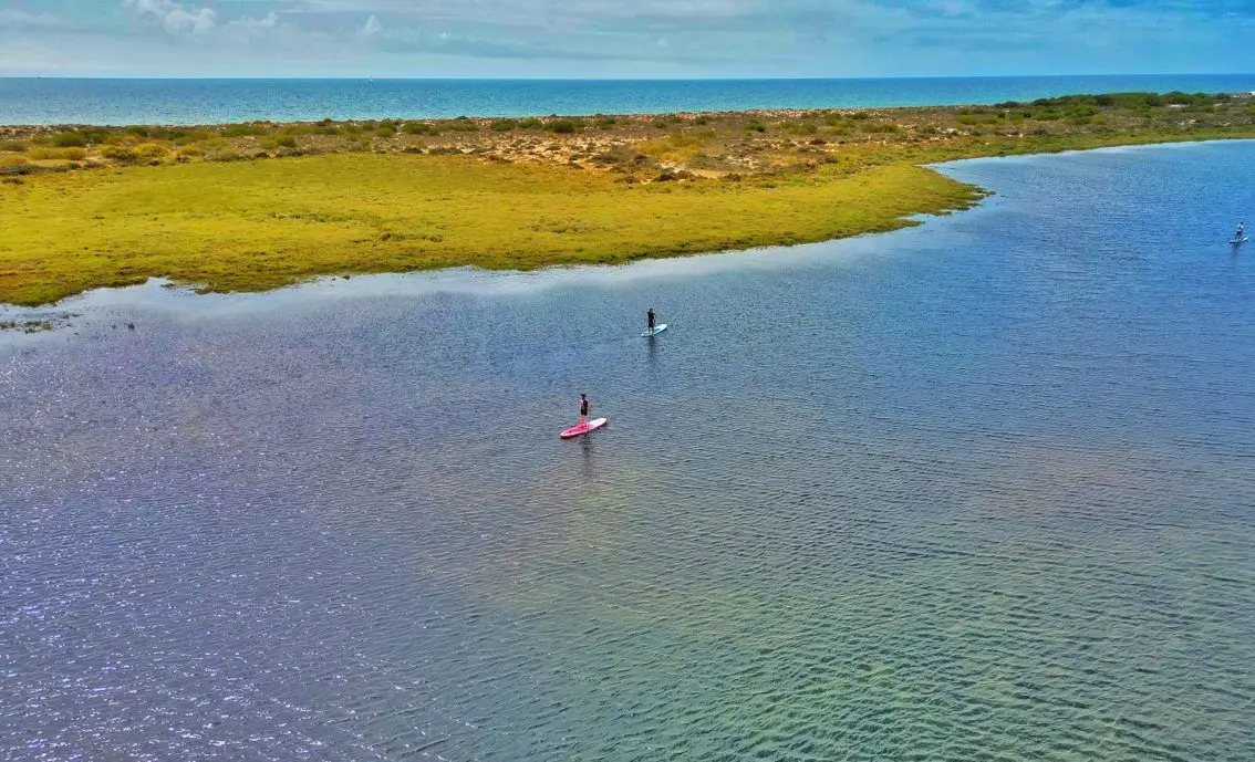 Paddleboards for rent in Cabanas de Tavira