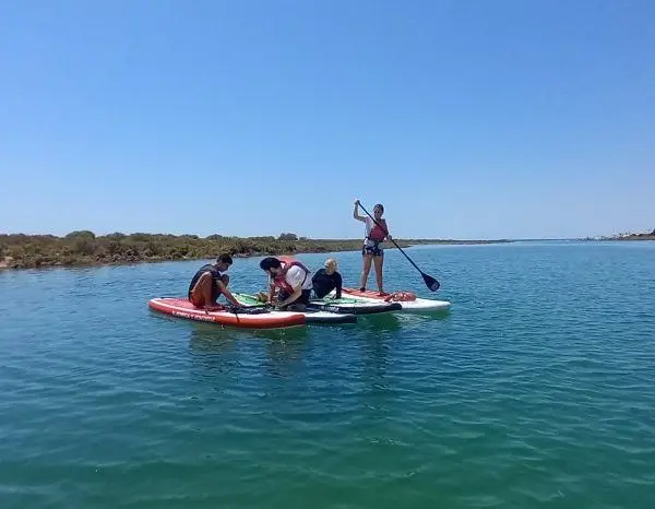 Teams paddleboarding in the Ria Formosa